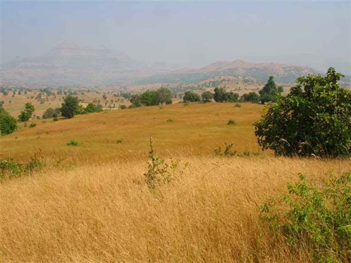 Subhadra Tranquil- River Touch Farm Plots Nashik